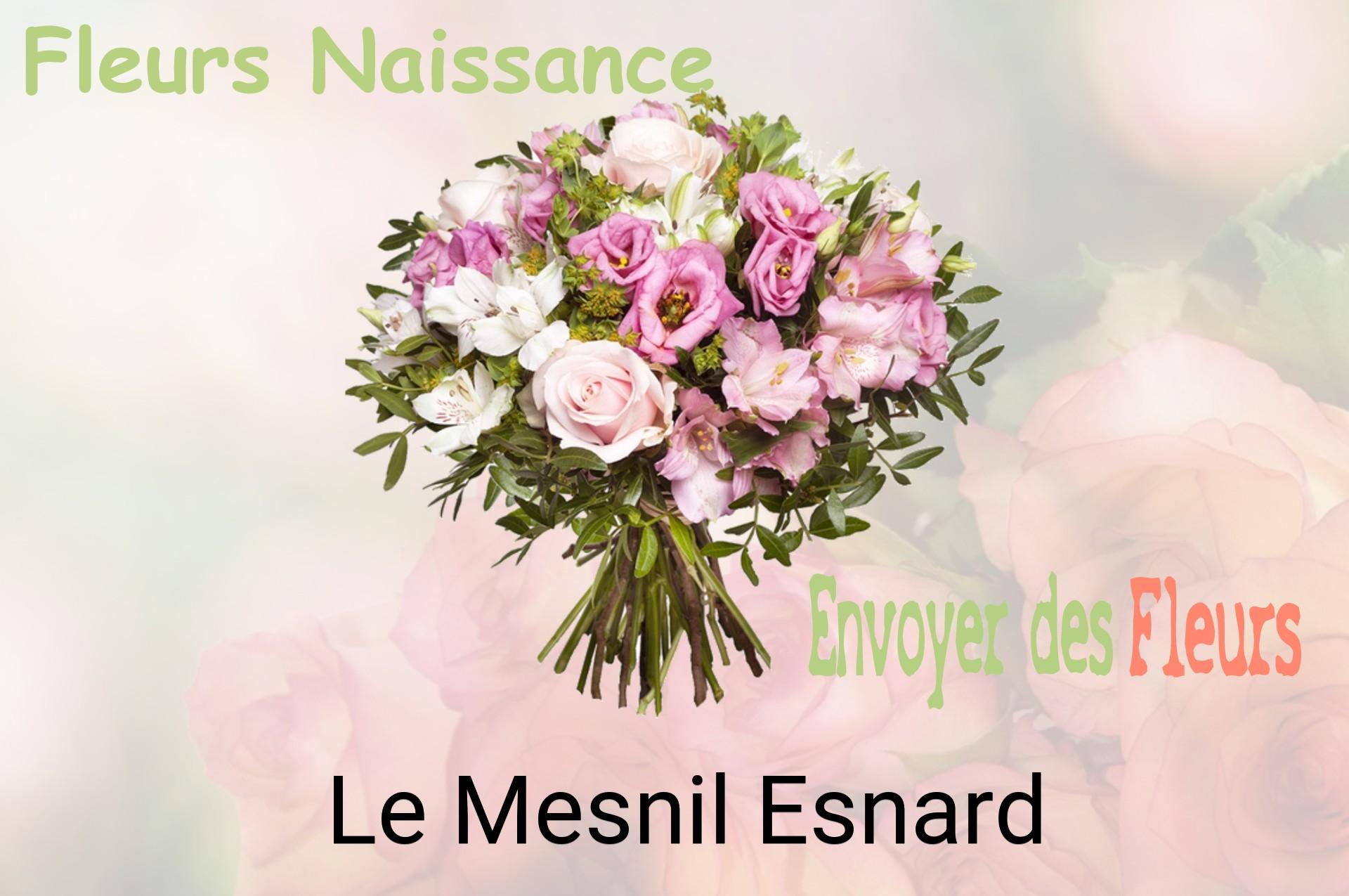 Bouquet de fleurs de naissance livré à Le Mesnil-Esnard